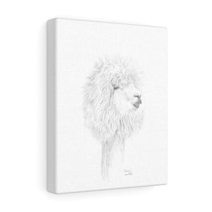 MIRIAM Llama- Art Canvas