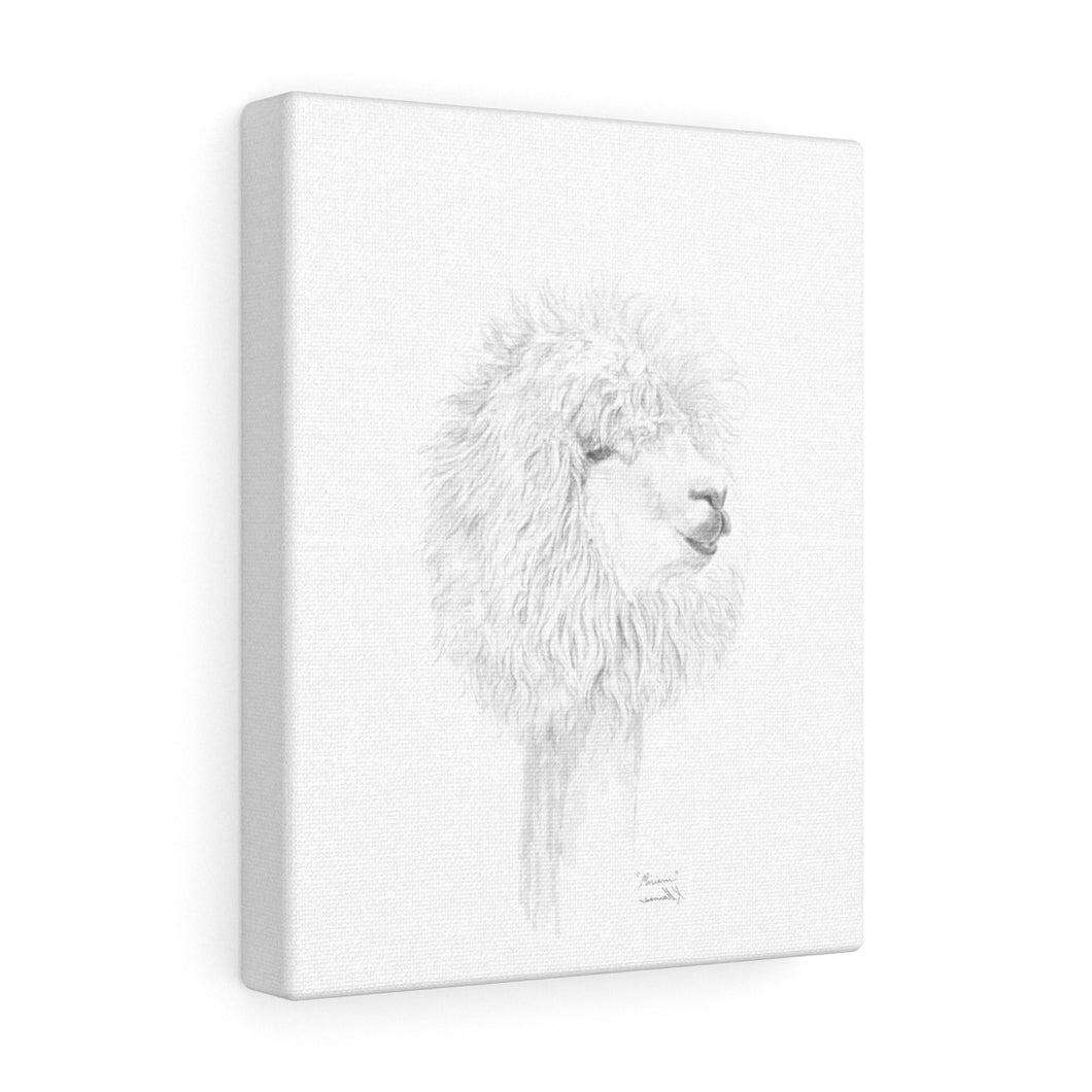 MIRIAM Llama- Art Canvas