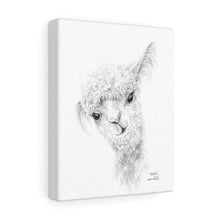 NATALIA Llama - Art Canvas