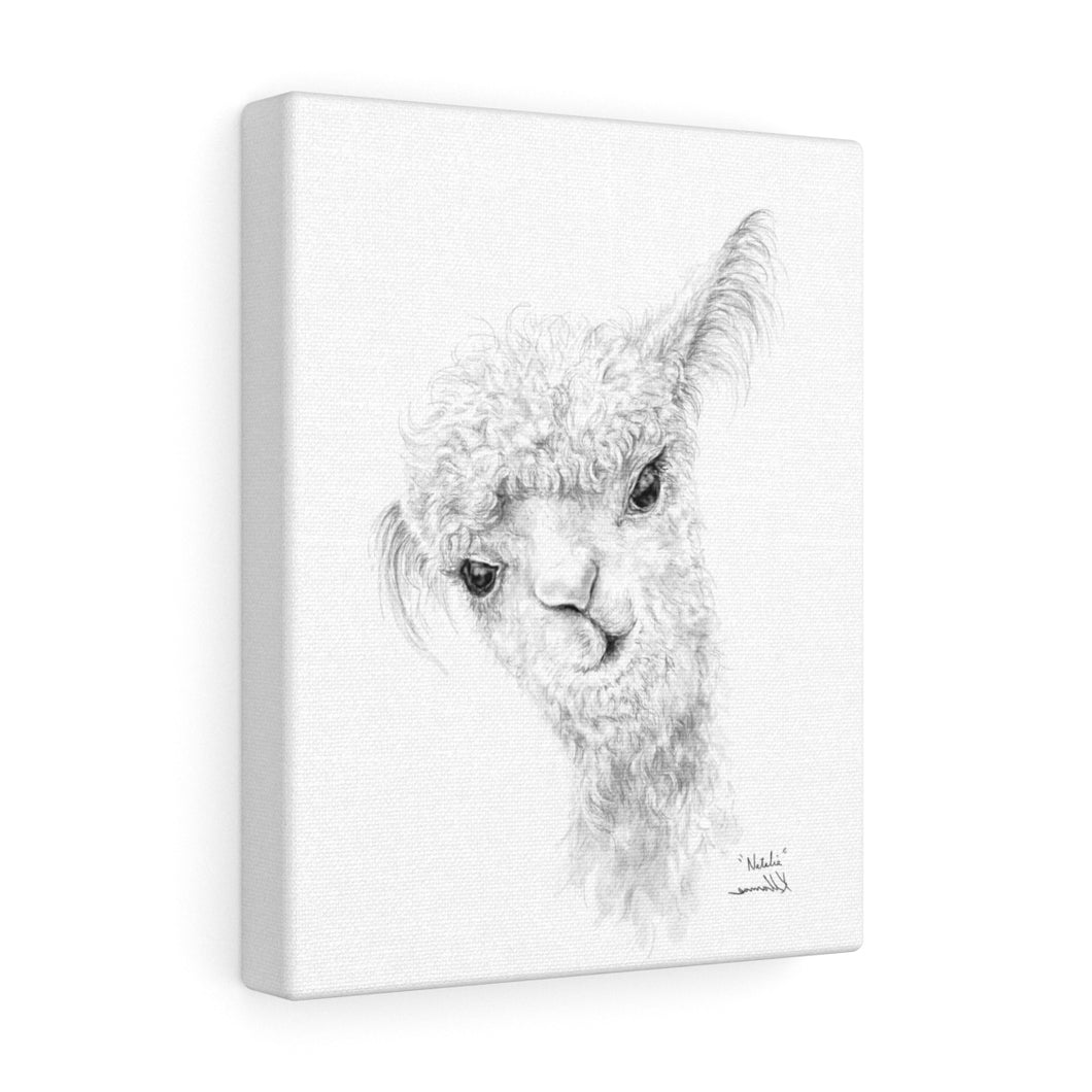 NATALIA Llama - Art Canvas