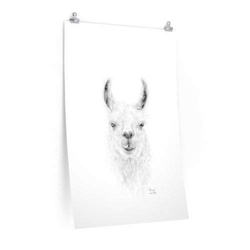 THOMAS Llama- Art Paper Print