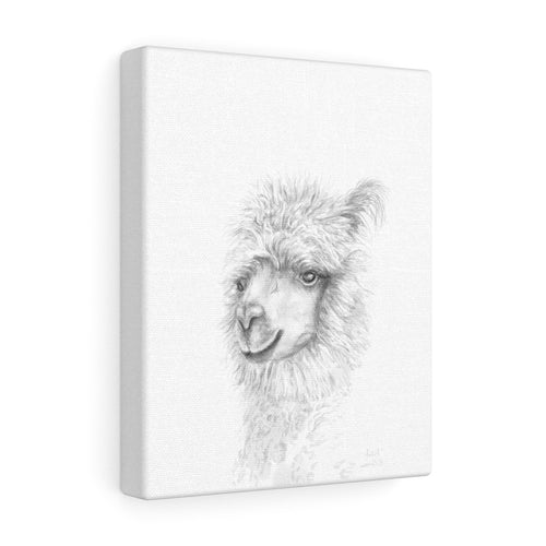 YAKOB Llama - Art Canvas