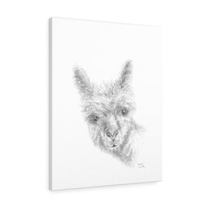 MEADOW Llama - Art Canvas