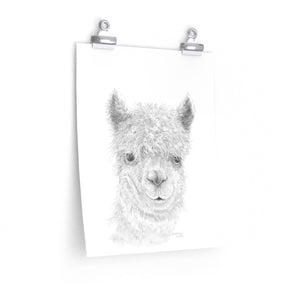 BARTHOLOMEW Llama- Art Paper Print