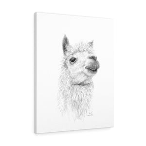 APRIL Llama - Art Canvas