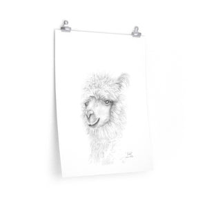 YAKOB Llama- Art Paper Print