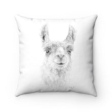 Llama Pillow - BILLIE JO