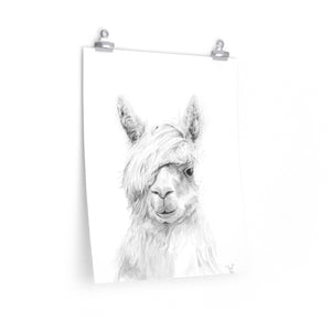 JOEL Llama- Art Paper Print