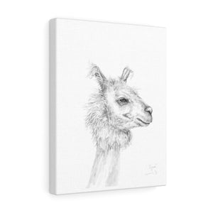RYAN Llama - Art Canvas
