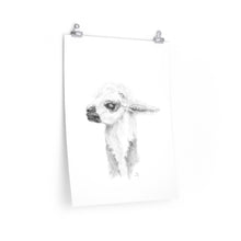 DEBI Llama- Art Paper Print