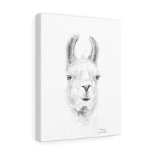 BROWN Llama - Art Canvas