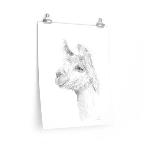 ANDY Llama- Art Paper Print