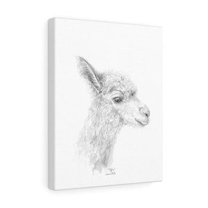 RUFUS Llama - Art Canvas