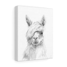 JOEL Llama - Art Canvas