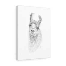 KIRBY Llama - Art Canvas