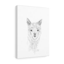 ALARIA Llama- Art Canvas