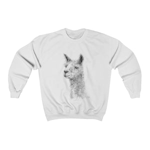 Llama Sweatshirt - SHANE