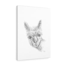 MEADOW Llama - Art Canvas