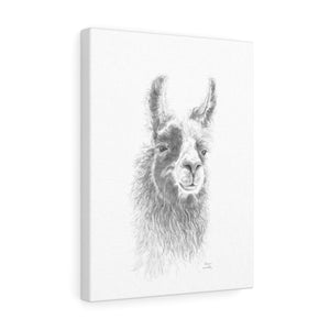 ANNIE Llama - Art Canvas