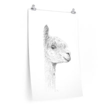 PIPER Llama- Art Paper Print