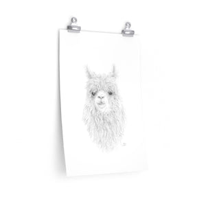 MARY Llama- Art Paper Print