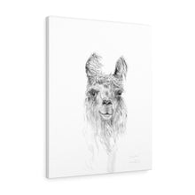 KRISTEN Llama - Art Canvas