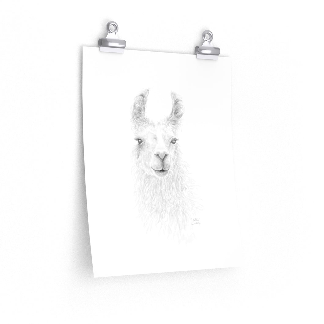 KAHLIE Llama- Art Paper Print