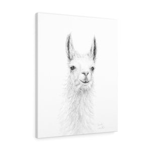EMILY Llama - Art Canvas