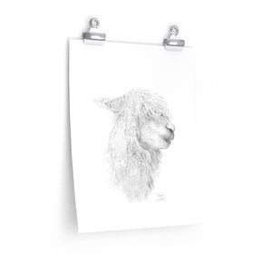 BAILIE Llama- Art Paper Print