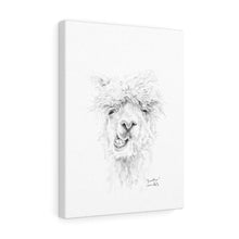 JONATHON Llama - Art Canvas