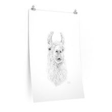 SABRINA Llama- Art Paper Print