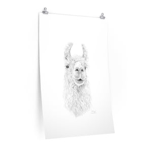 SABRINA Llama- Art Paper Print