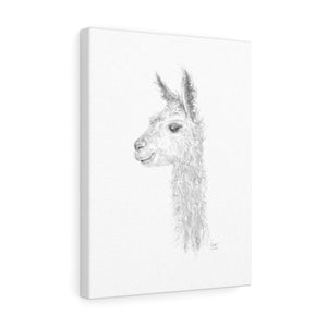 KYLEIGH Llama - Art Canvas