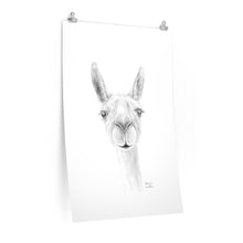 ADDISON Llama- Art Paper Print