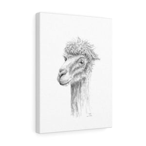 WILL Llama - Art Canvas