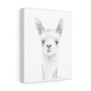 Copy of MARCIE Llama - Art Canvas