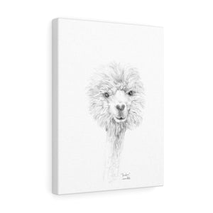 JORDAN Llama - Art Canvas