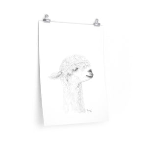 DANICA Llama- Art Paper Print