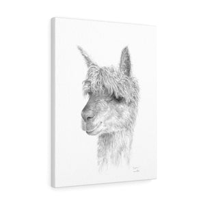 JAZOARA Llama - Art Canvas