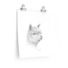 RANDY Llama- Art Paper Print