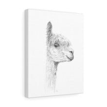 Piper Llama - Art Canvas