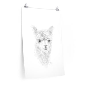 KATIE Llama- Art Paper Print