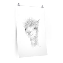 CHRISTINE Llama- Art Paper Print