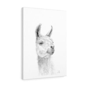 JEFF Llama - Art Canvas