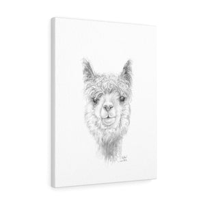 KELLEA Llama - Art Canvas