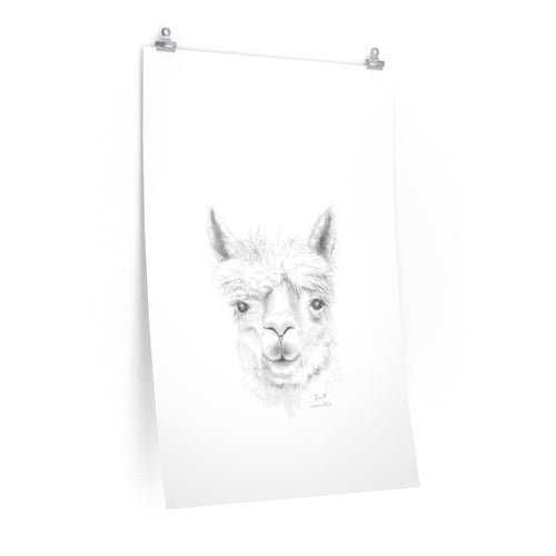 RHETT Llama- Art Paper Print