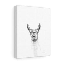KAIN Llama - Art Canvas