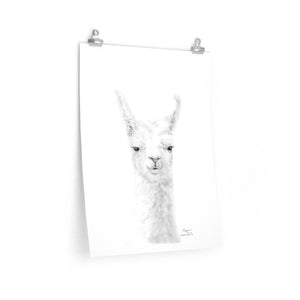 MEGAN Llama- Art Paper Print