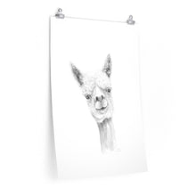 LUKE Llama- Art Paper Print