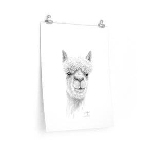 JENNIFER Llama- Art Paper Print